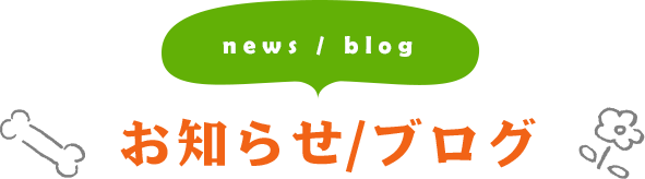 news/blog お知らせ/ブログ